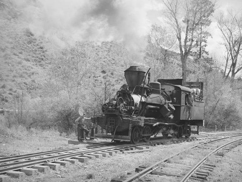 Locomotive Of Logging Train, Baker County, Oregon By Russell Lee