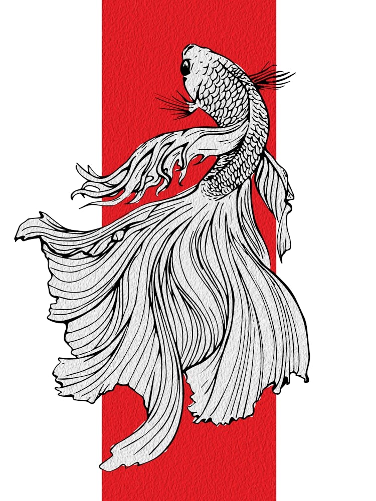 Graceful Betta Fish Line Art – Japanese Minimalist Style