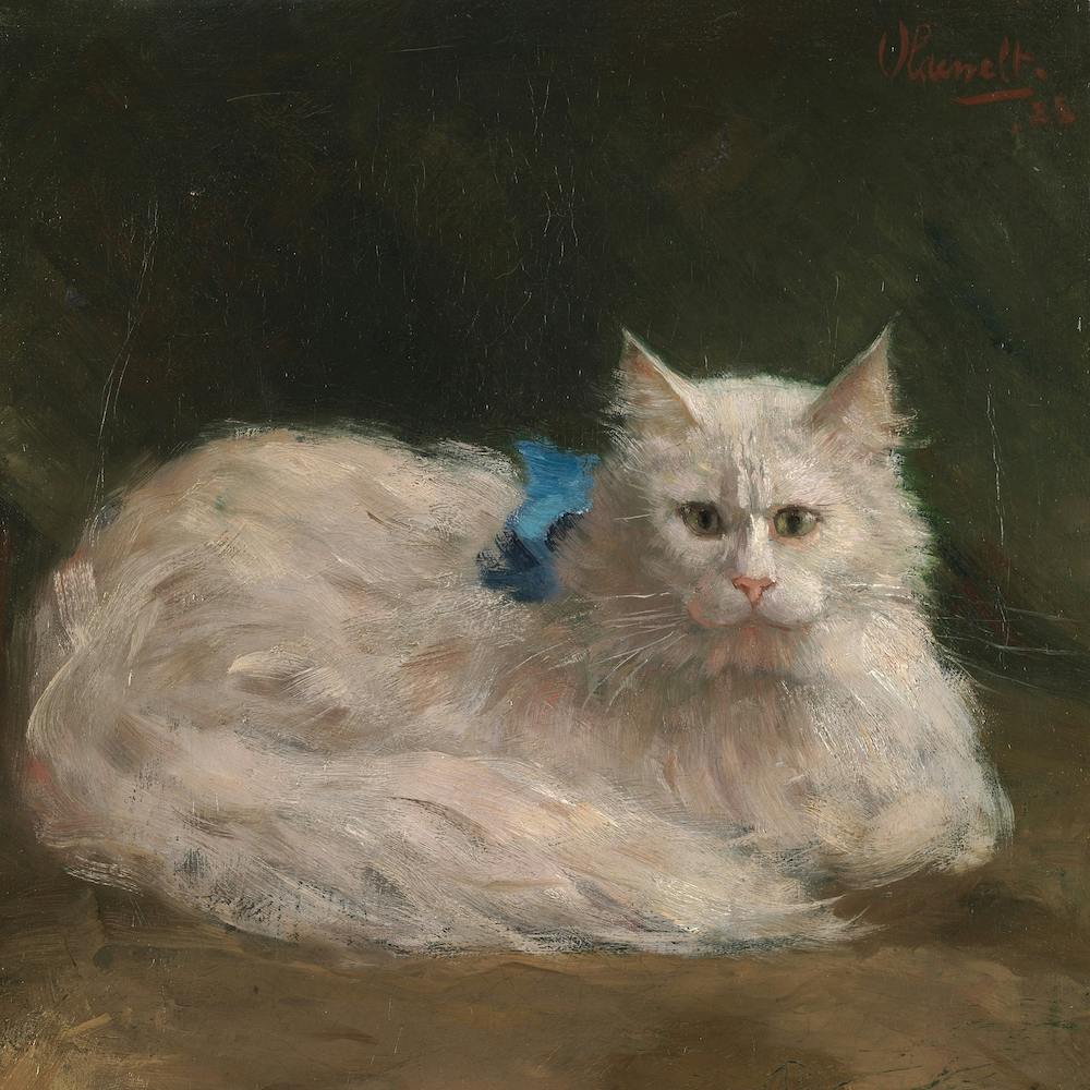 Angorakat, Ferdinand Oldewelt