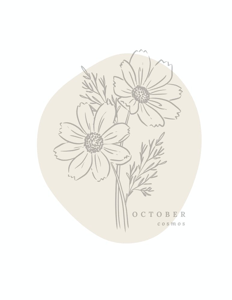 Cosmos d'Octobre Fleur de Naissance | Floraux Neutres