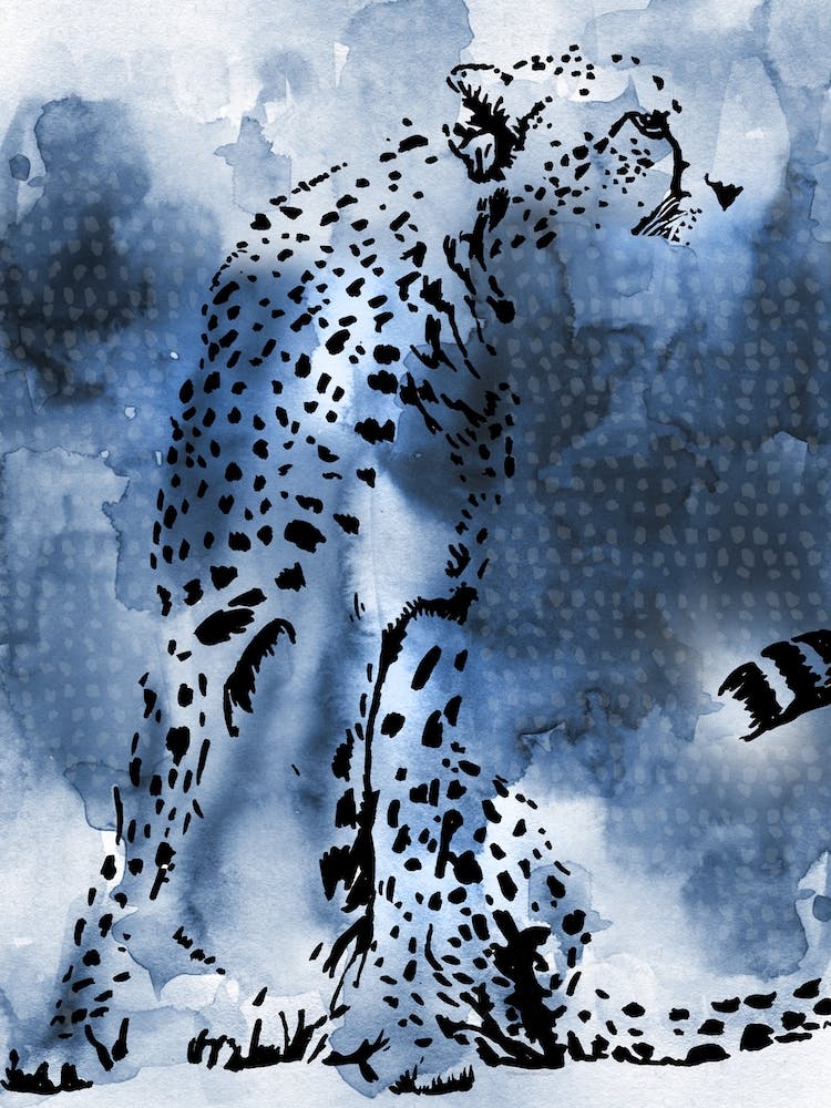 Cheetah Blue