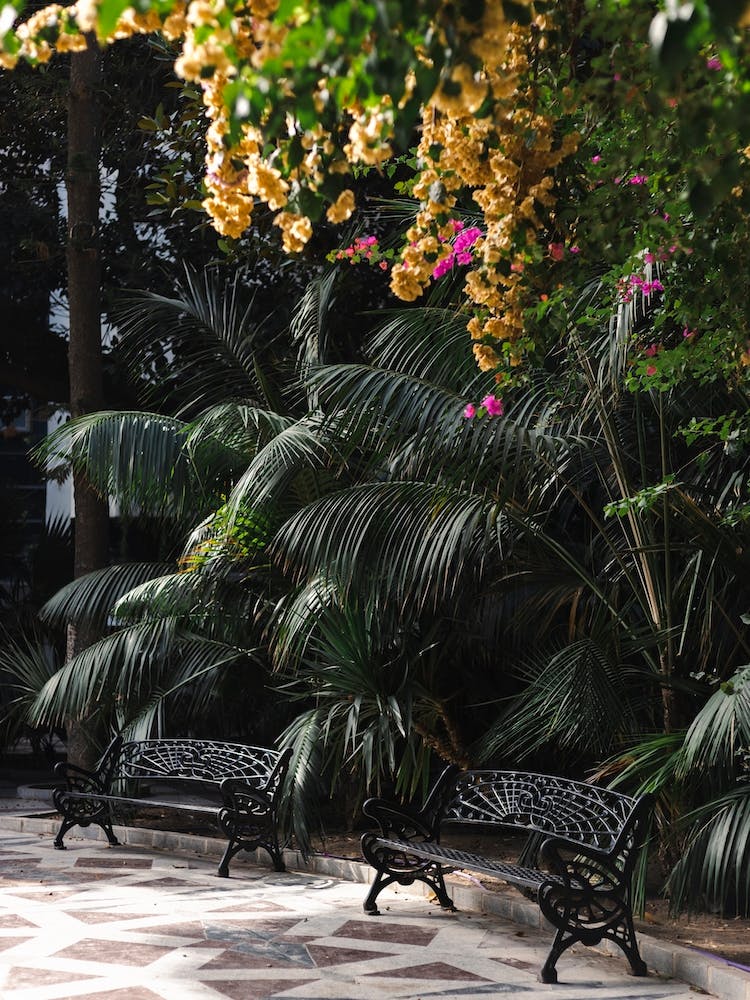 Alicante Green Park