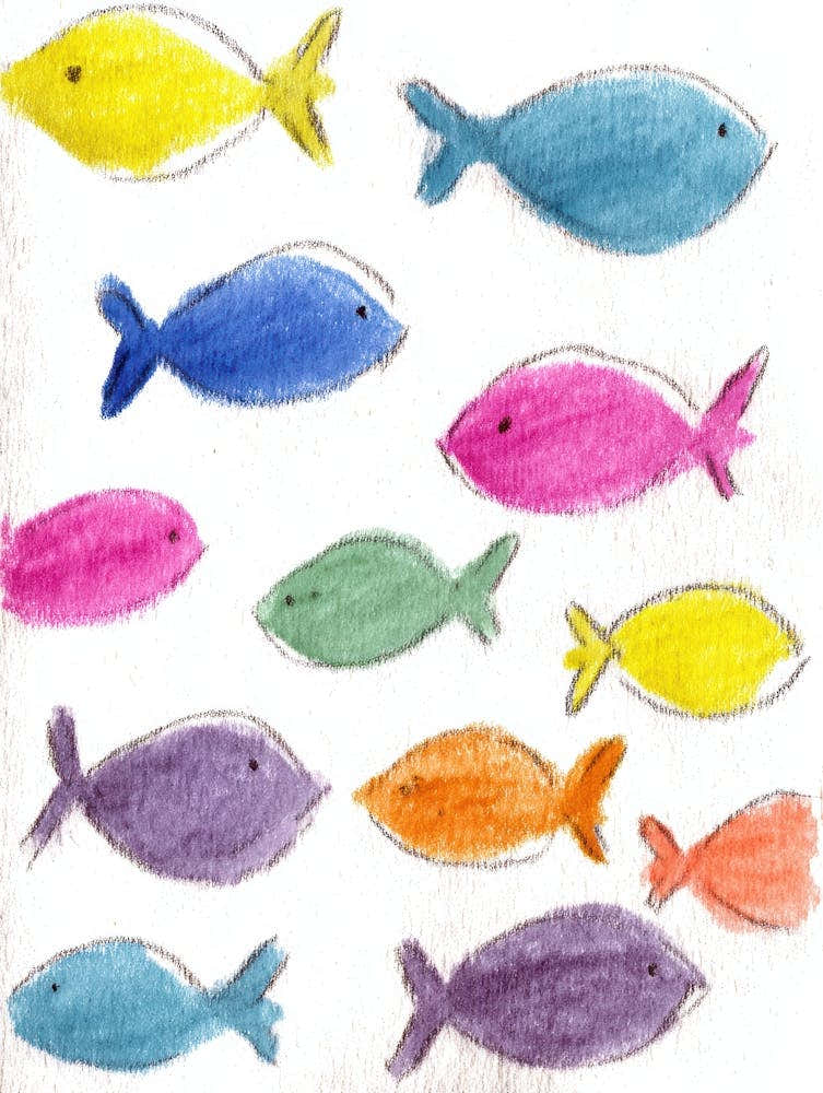 Fishes 11