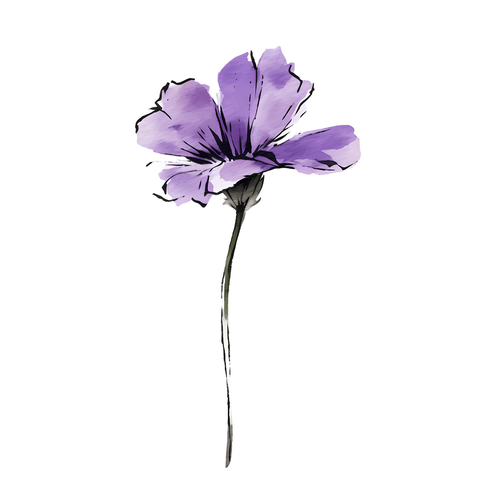 A single Violet