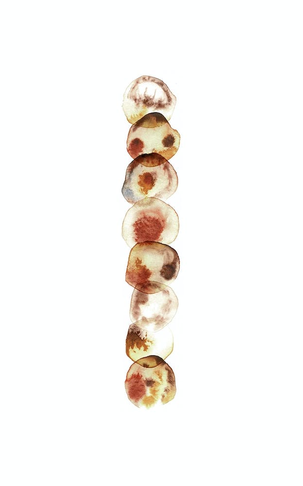 Totem Agata