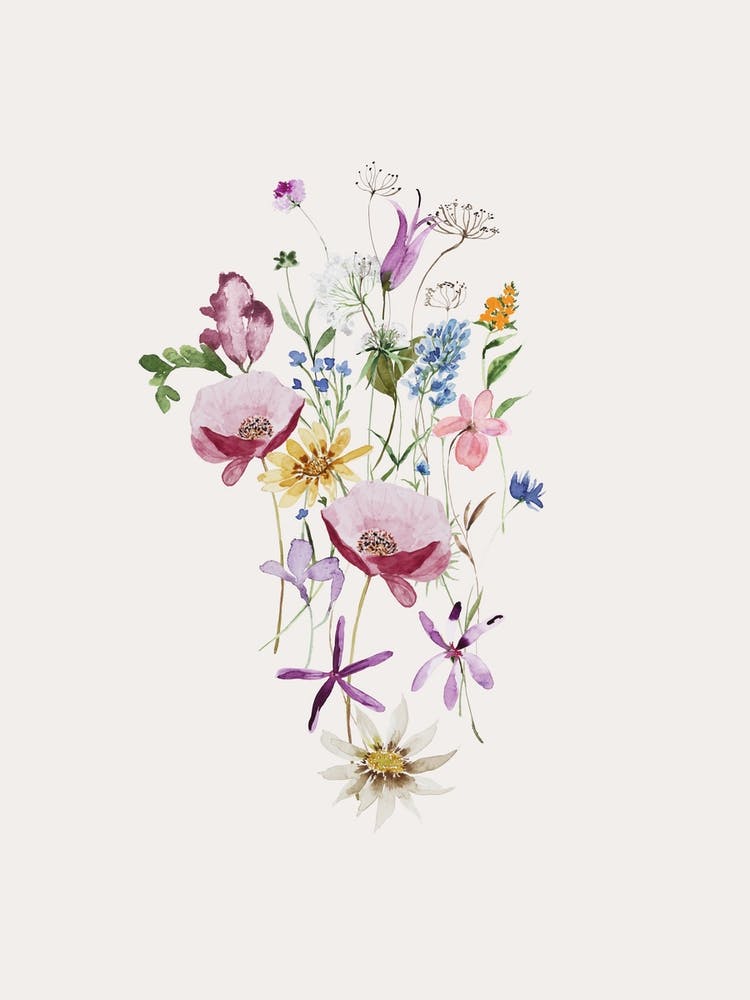 Bunch Of Summer Wildflowers