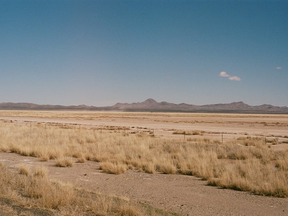 Saguaro National Park