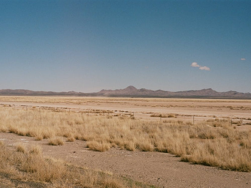 Saguaro National Park
