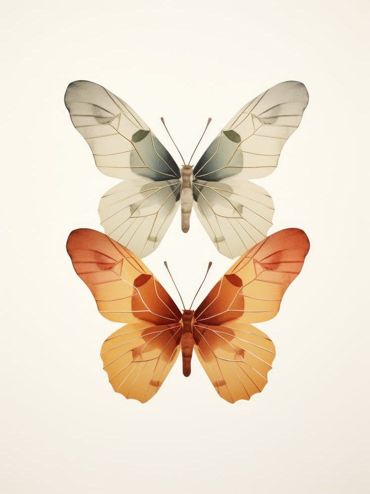 Butterfly Illustration