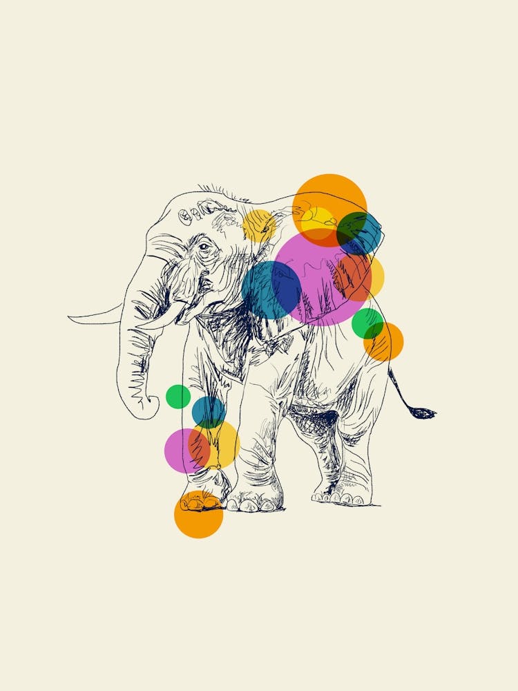 Elephant Drawing
