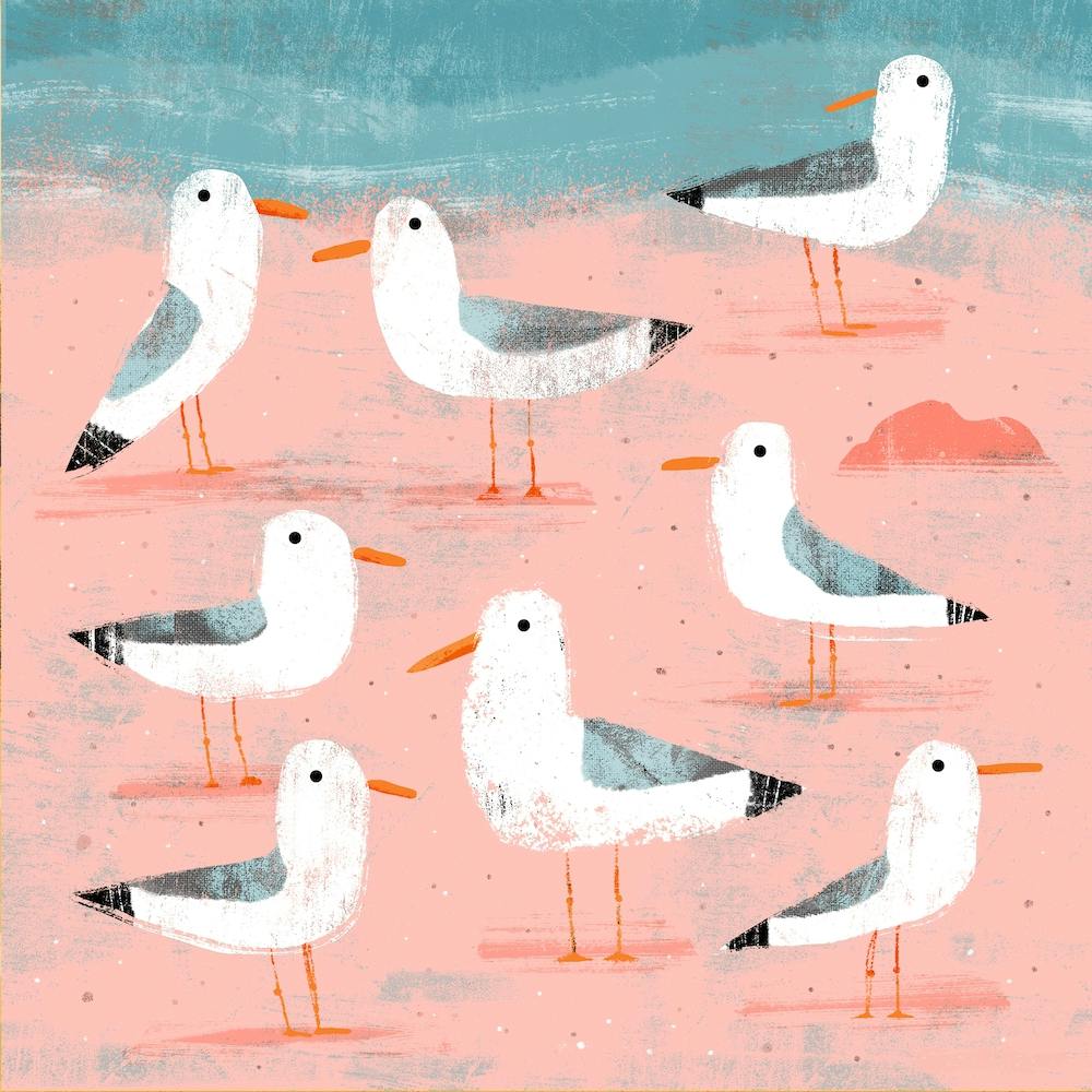 Seagulls On The Shore 2 Square