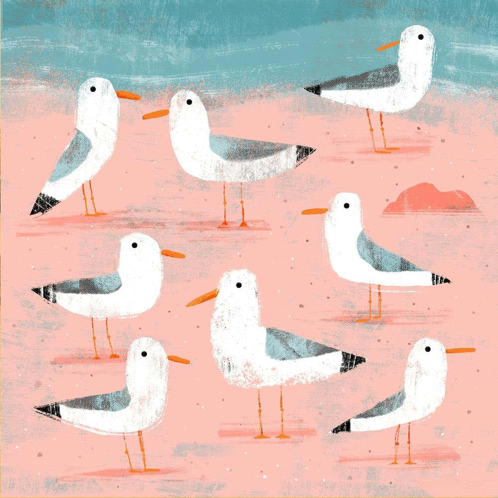 Seagulls On The Shore 2 Square