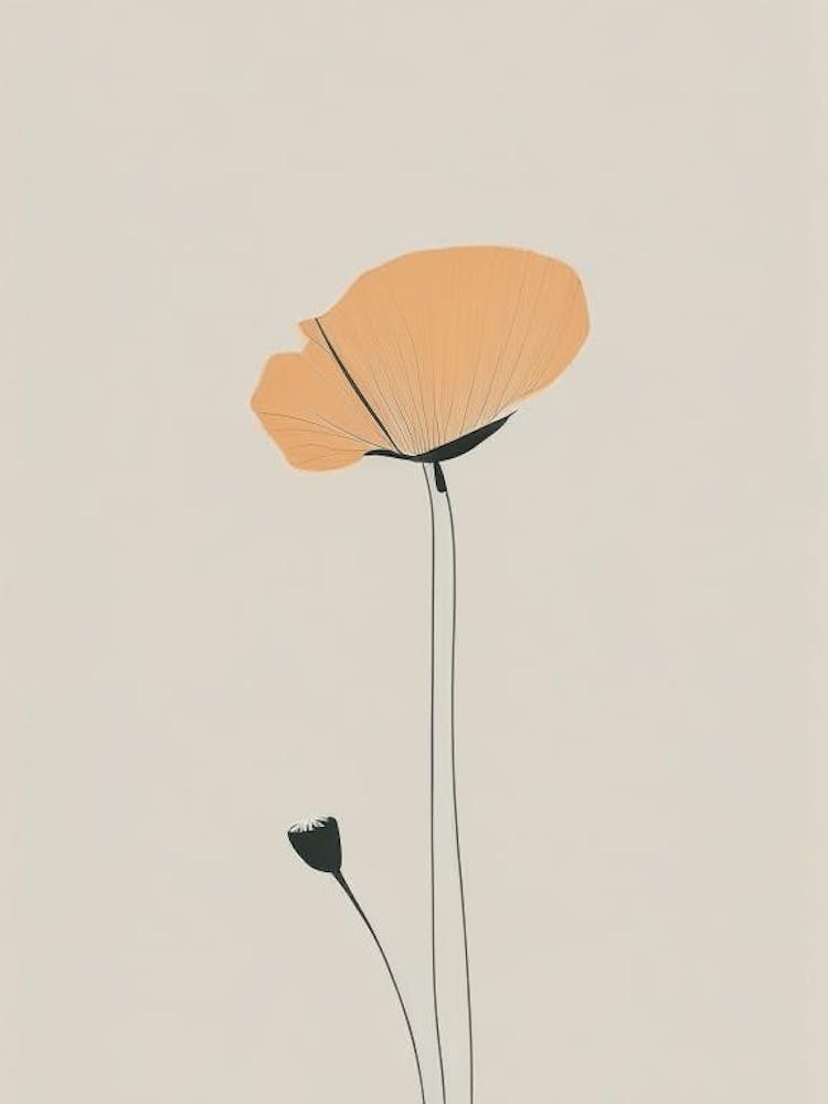 Kalifornischer Mohn-Wildblume Schlichtheit