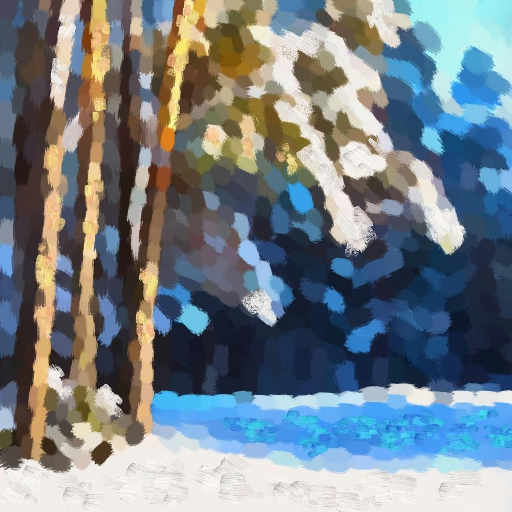 Snowy winter forest N1