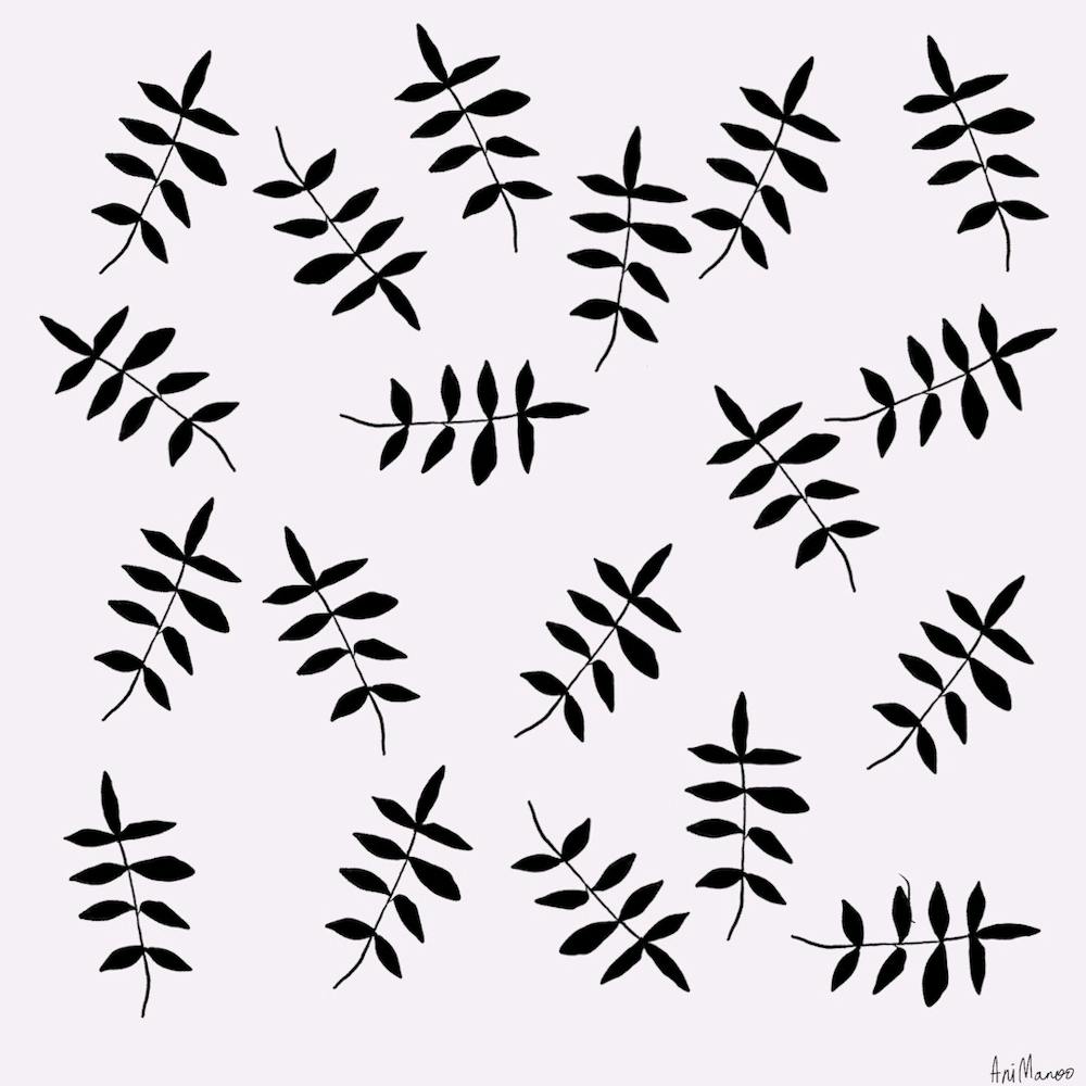 Black And White Leaves 1