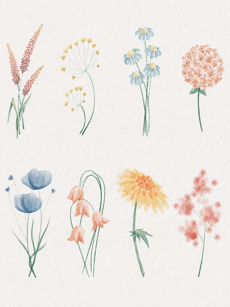 Watercolor Flowers
