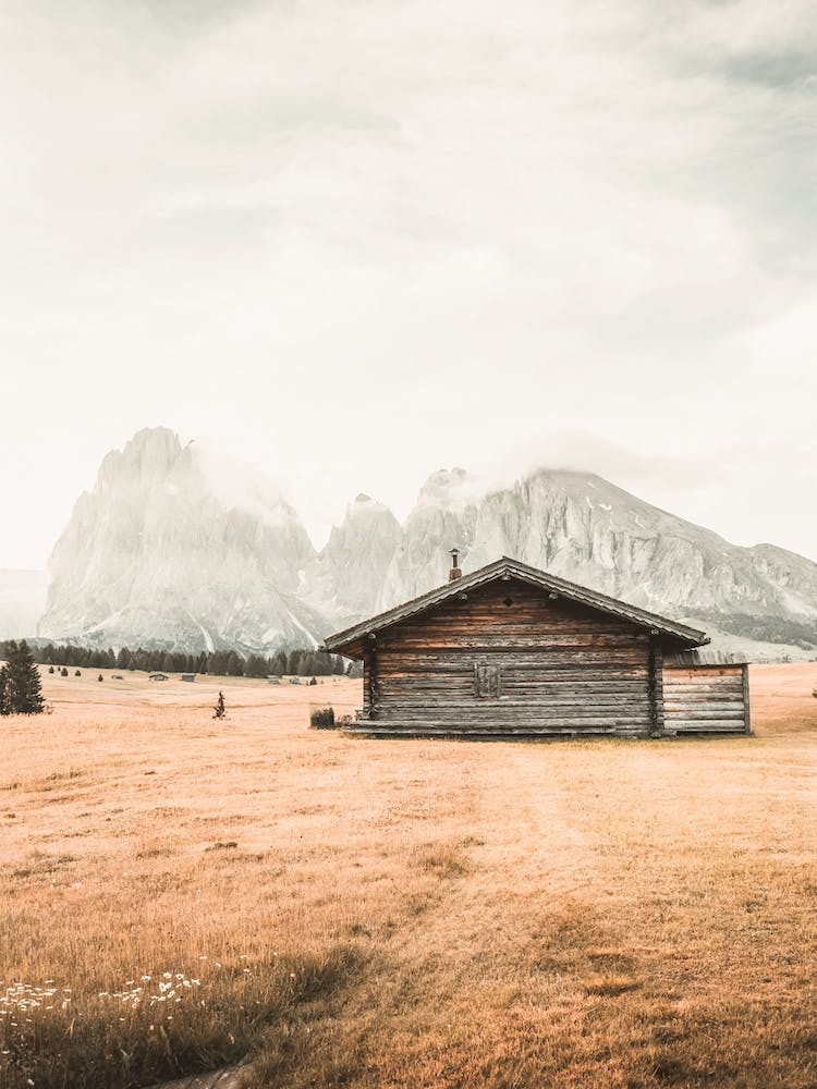 Montana Cabin