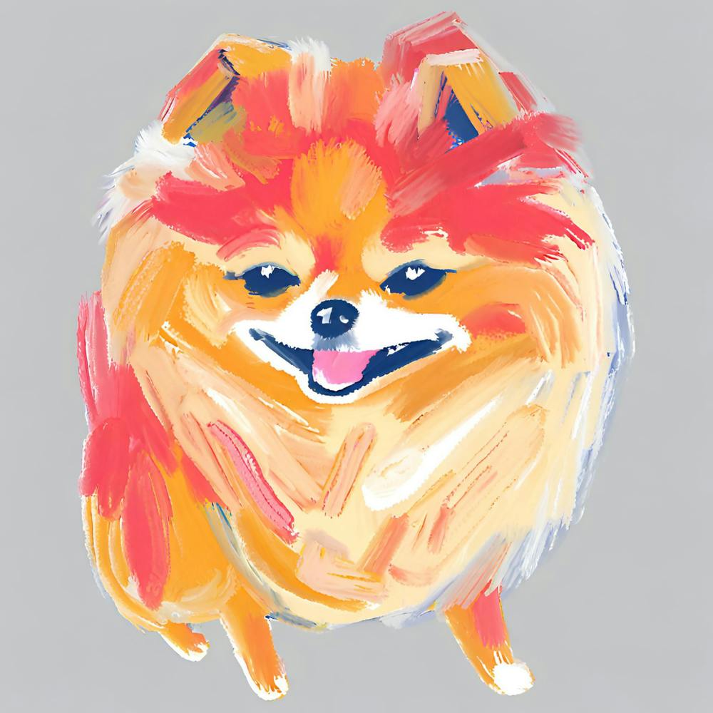 Pomeranian 01