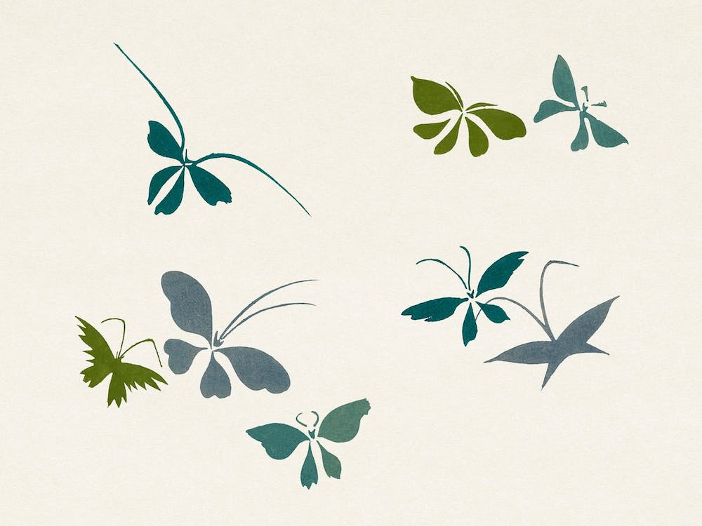 Abstract Butterfly, Kamisaka Sekka (2)