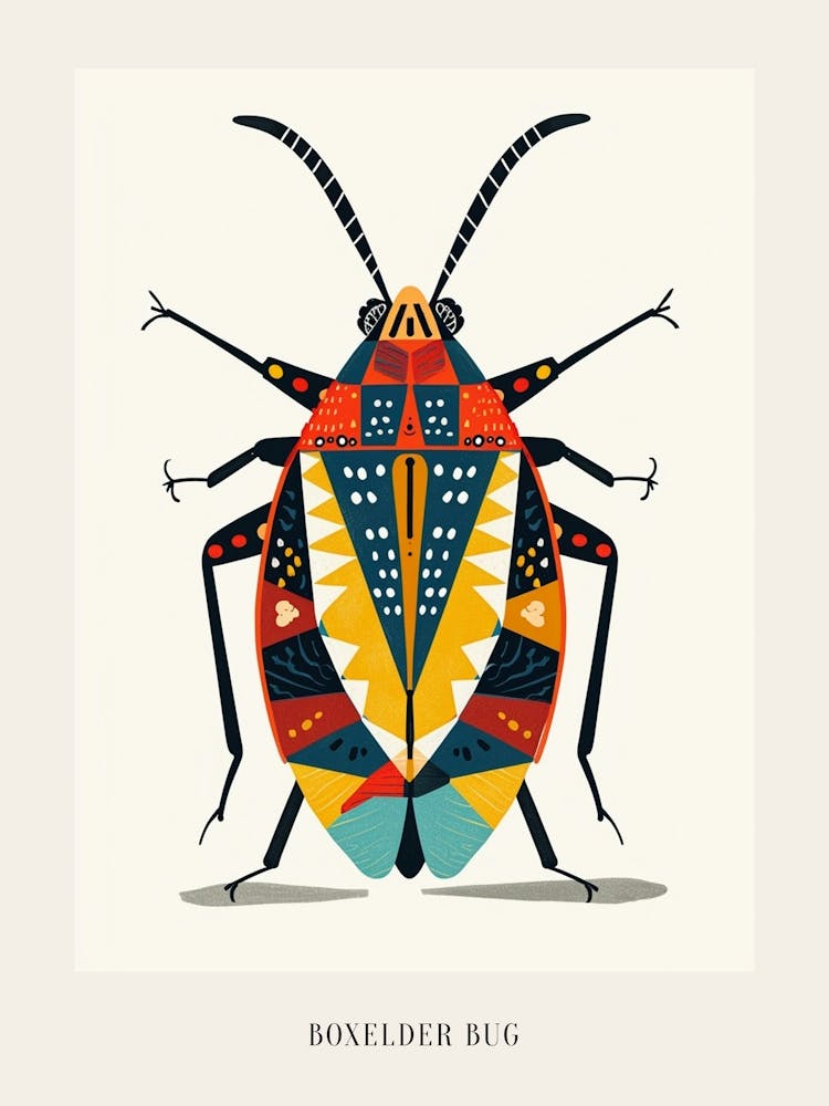 Colourful Insect Illustration Boxelder Bug 5 Poster