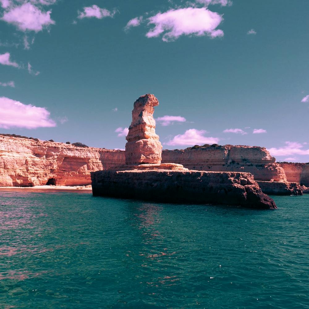 Portugiesisches Rosa