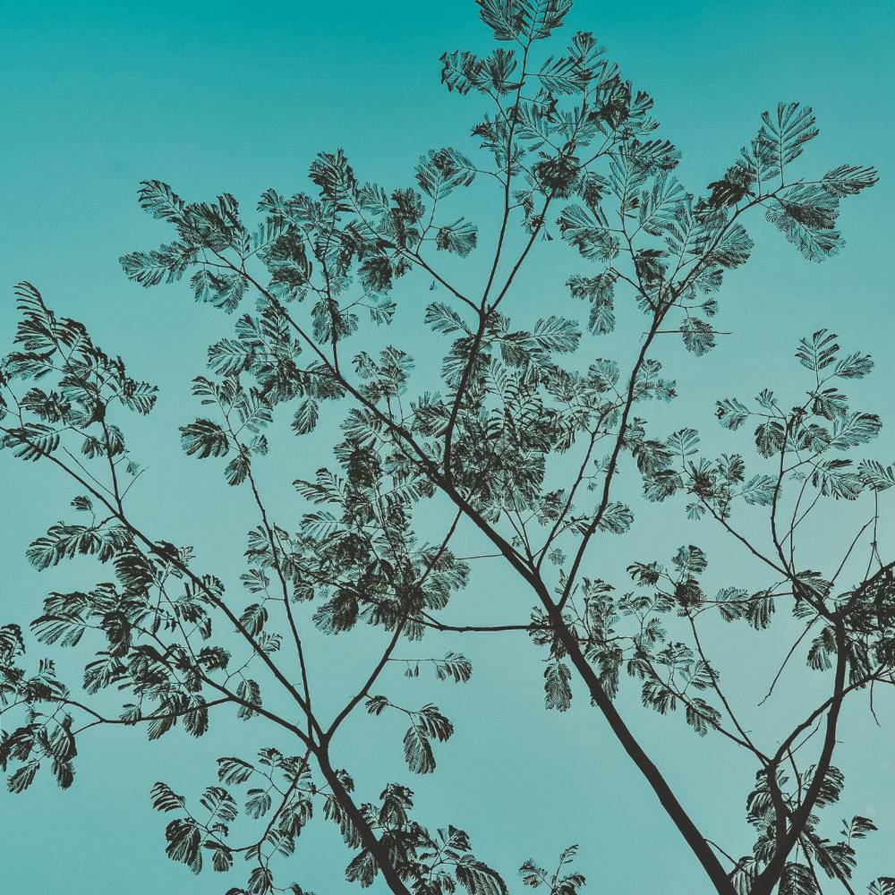 20240127 140631 0000