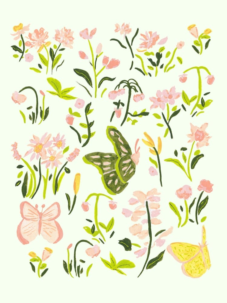 Butterflies and Botanicals