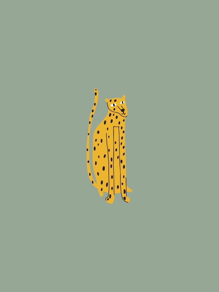 Cheetah 1
