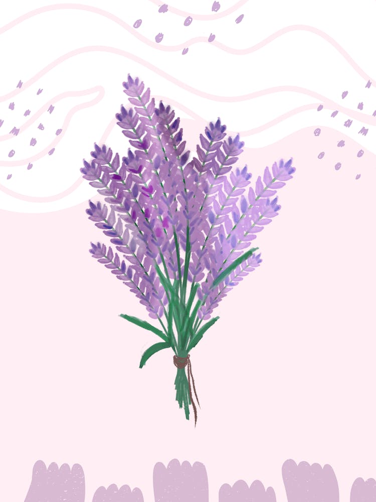 Lavender Bouquet