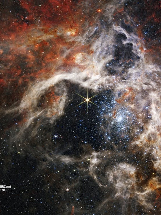 JWST Tarantula Nebula, 30 Doradus, NGC 2070 - Emission Nebula in the Large Magellanic Cloud (James Webb/JWST) — space poster, science poster, space photo, space art, jwst picture