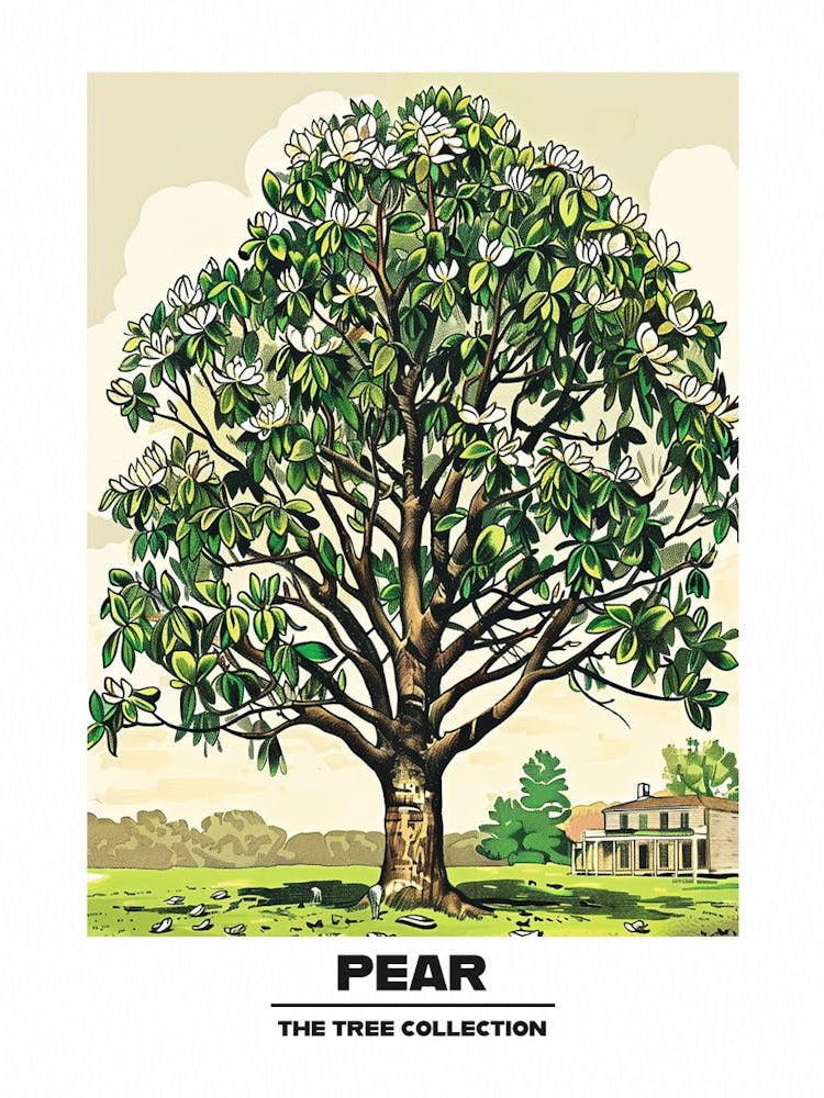 Pear Tree Storybook Illustration 4 Poster