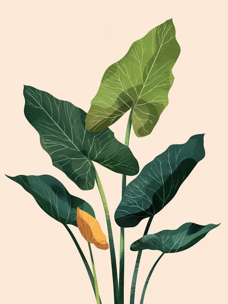 Elephant Ear Plant Minimalist Illustration 3