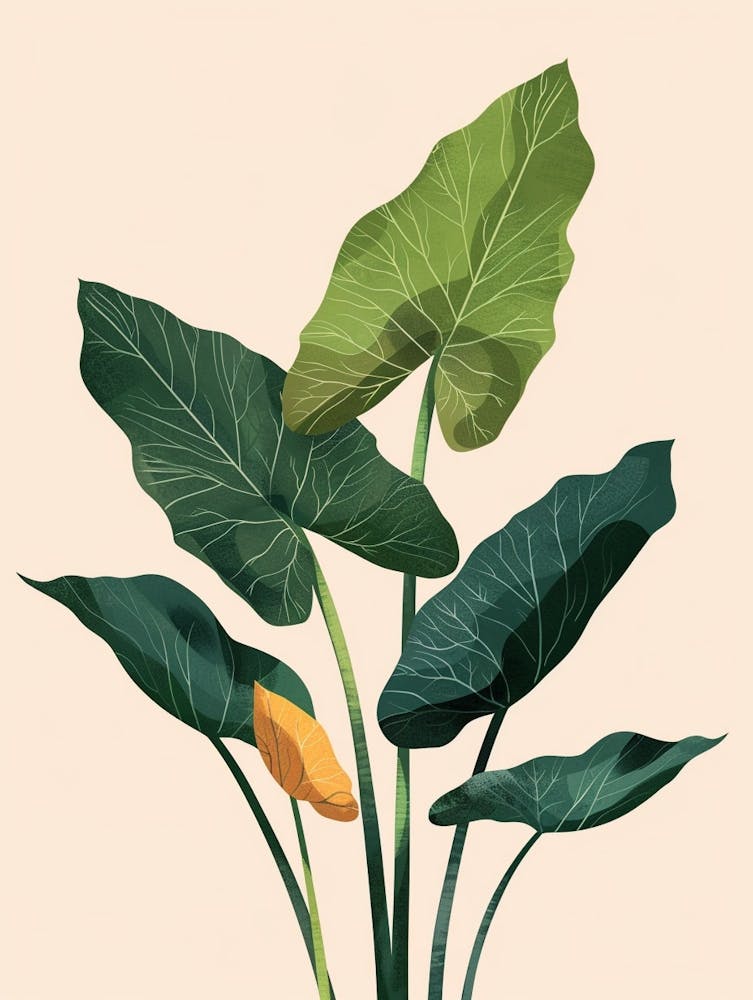 Elephant Ear Plant Minimalist Illustration 3