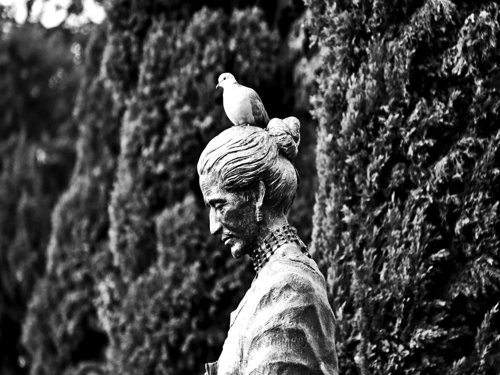 Queretaro Bird Head BW 1