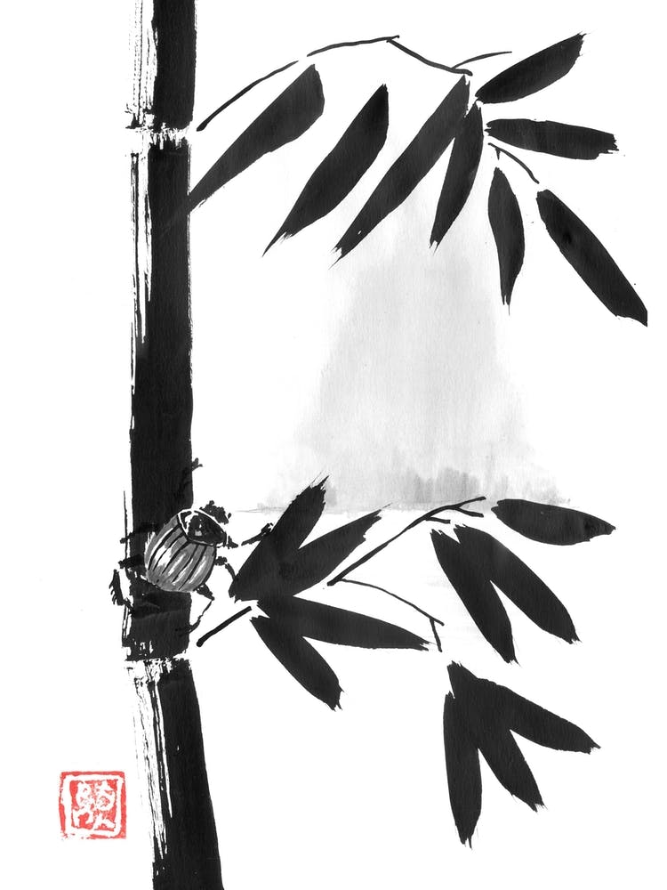 Beetle And Bamboo