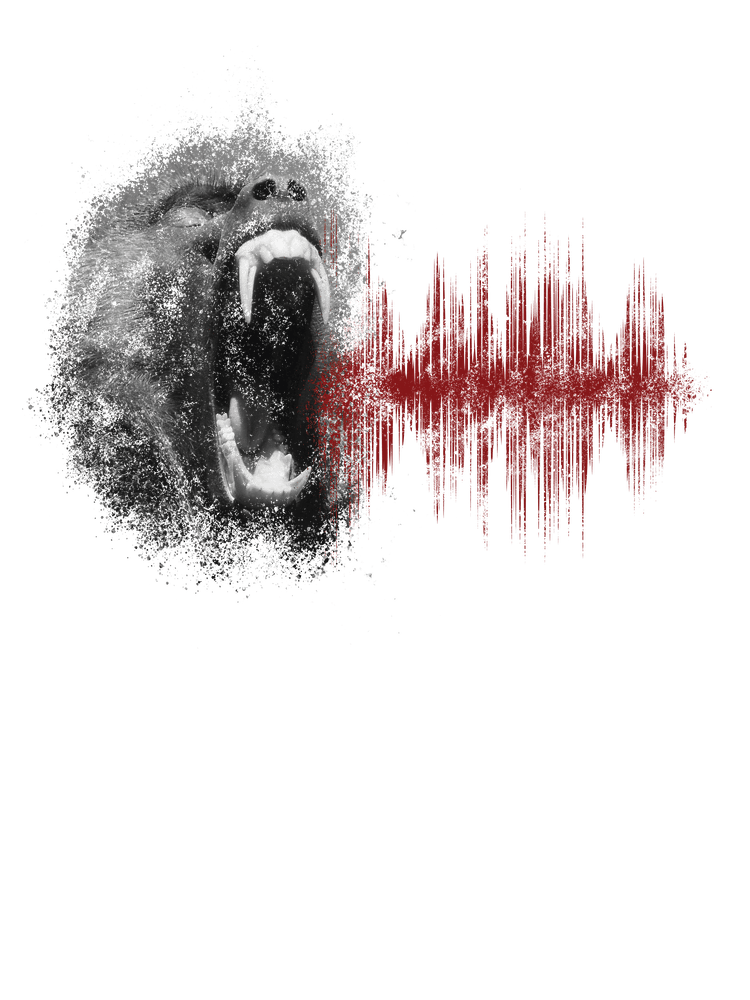 Echoes Of Fury 2