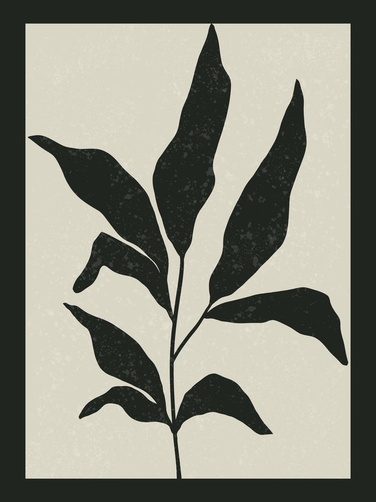 Black And White Leaf