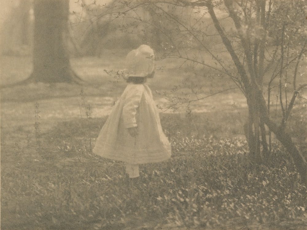 Spring (1901), Alfred Stieglitz
