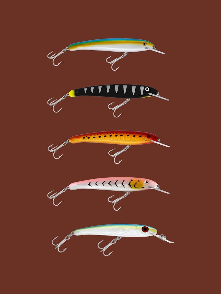 Lure Sardines