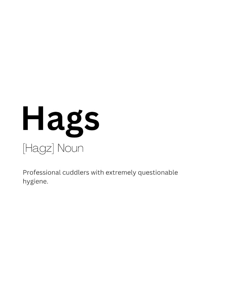 Hags Definition Meaning