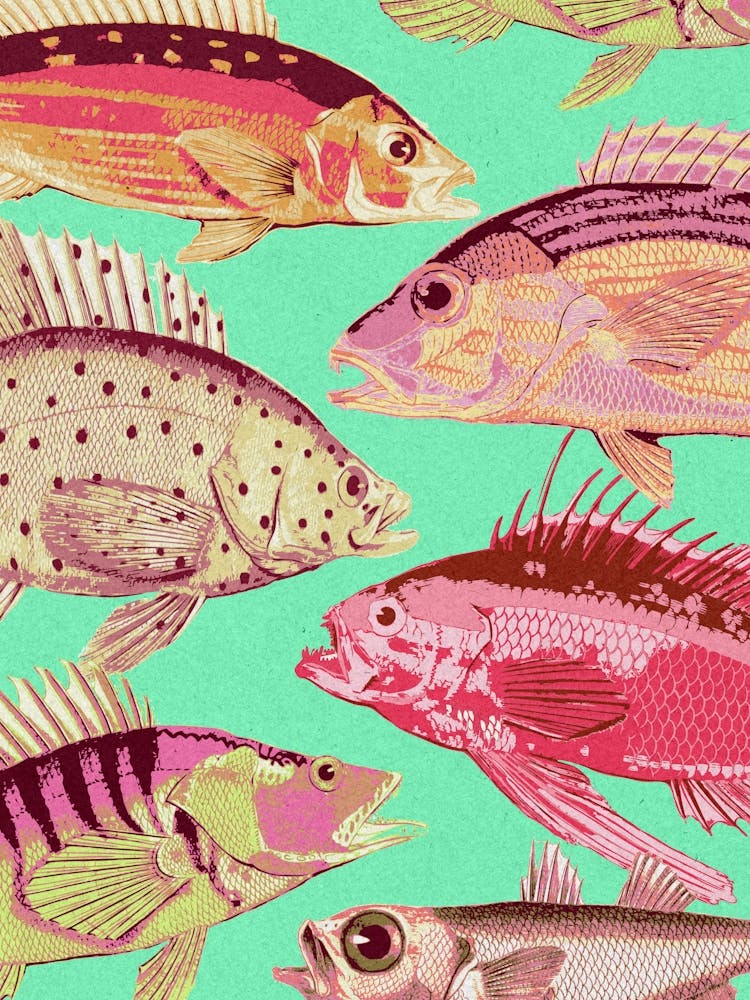 Colorful Fishes