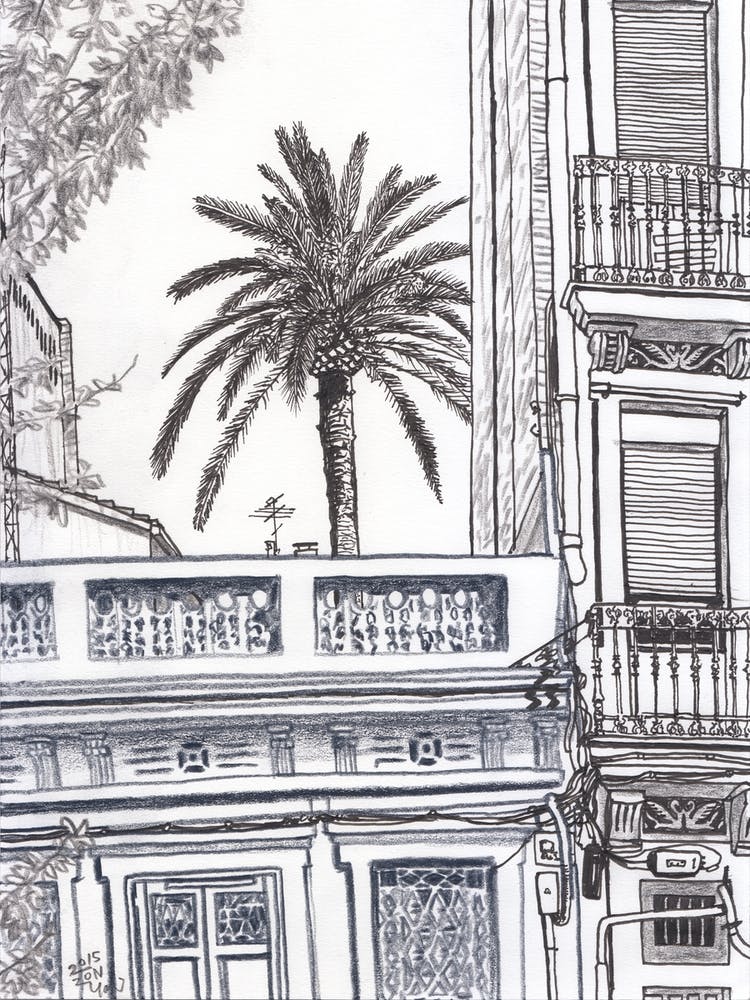 The Neighborhood Palm Tree