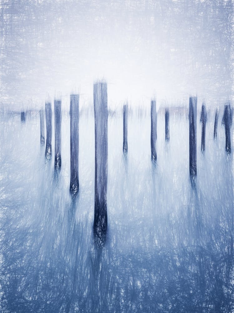 Lagoon Details Venice