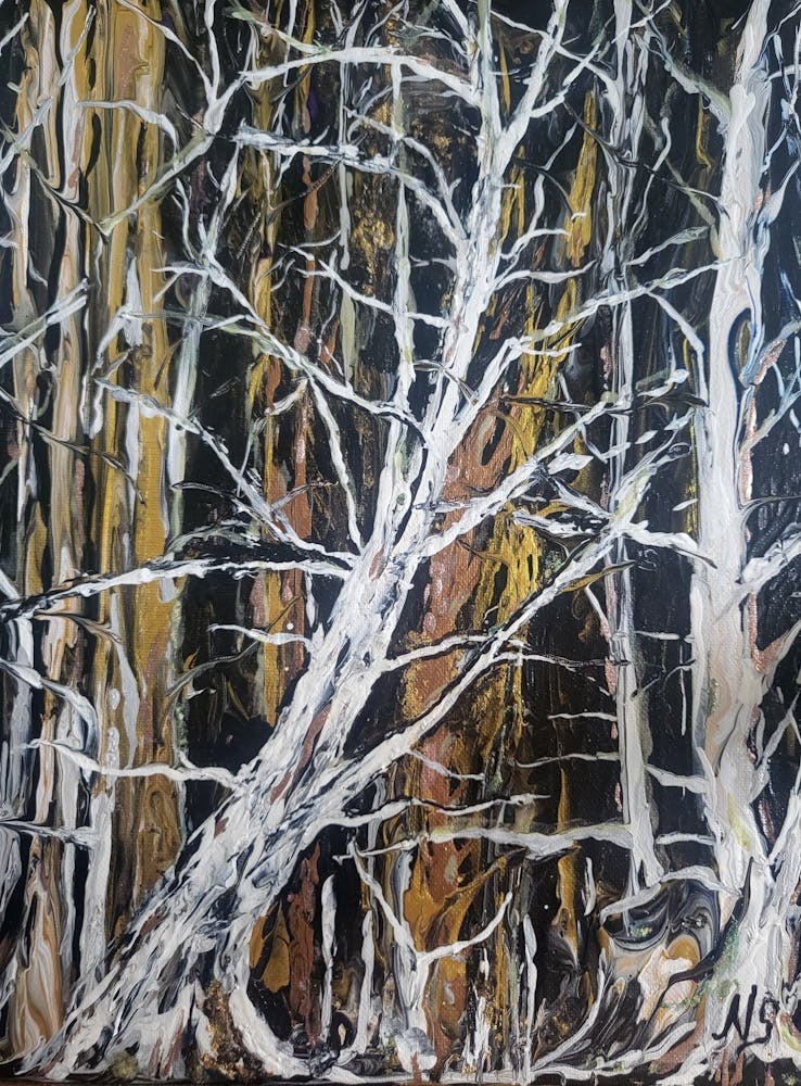 Trees In Winter
