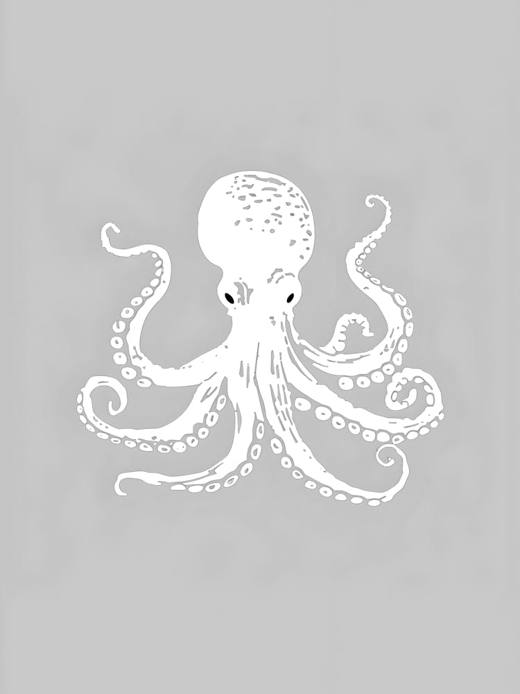 Octopus 3