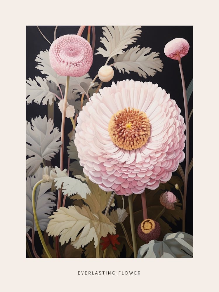 Blumenillustration Ewige Blume 4 Poster