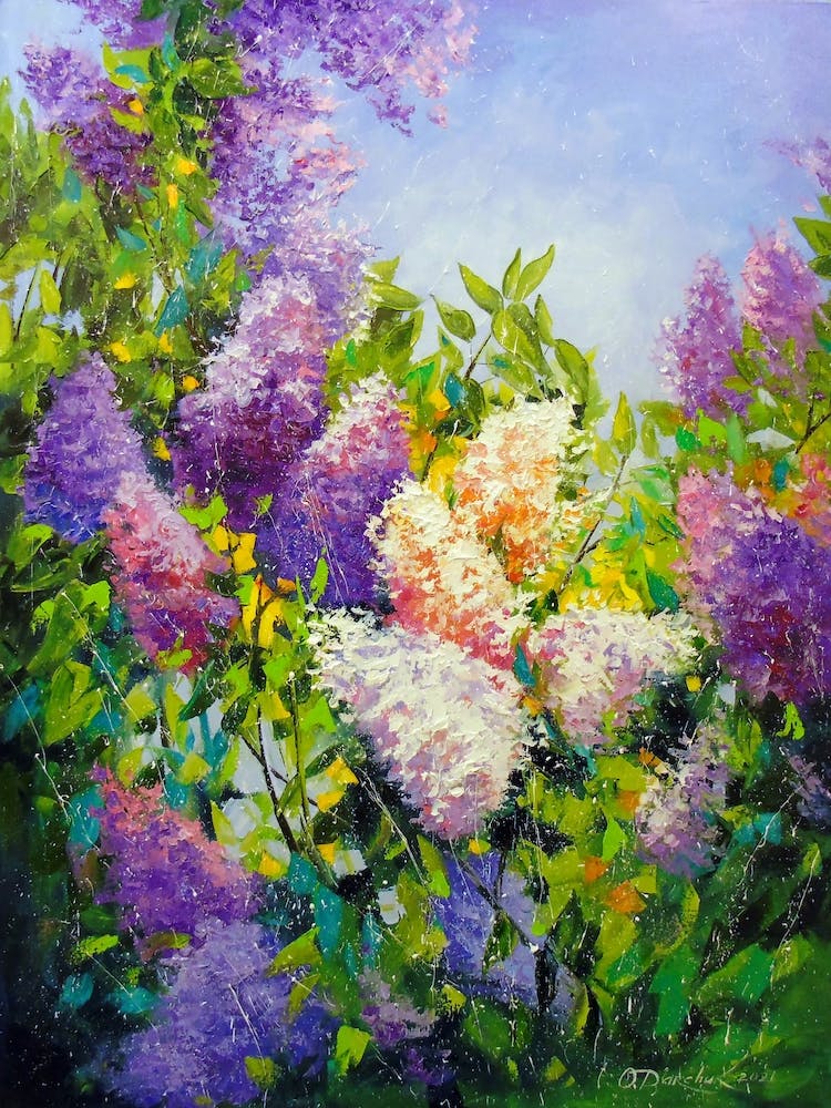 Flowering Lilac