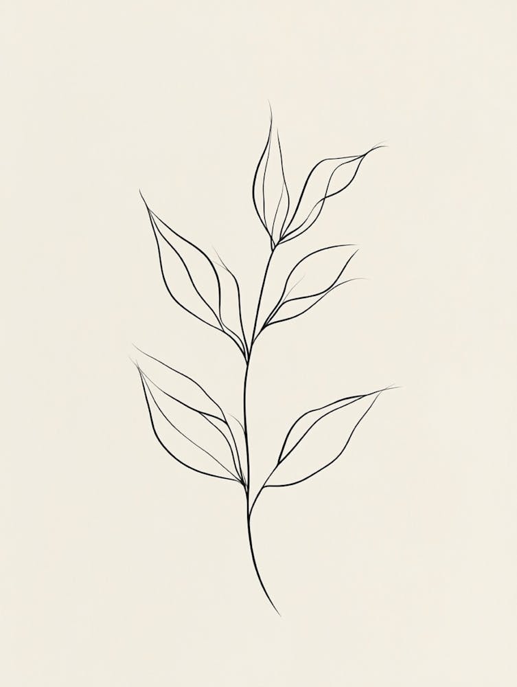 Line Drawing Of A Leaf 2