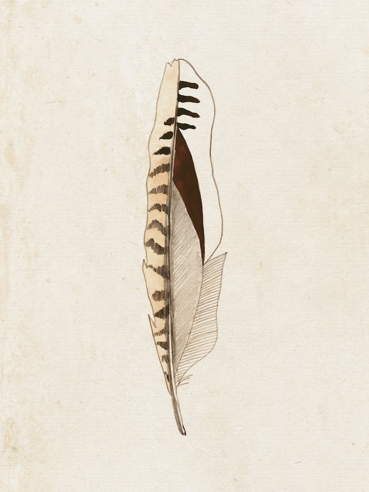 SouthWesternFeather C