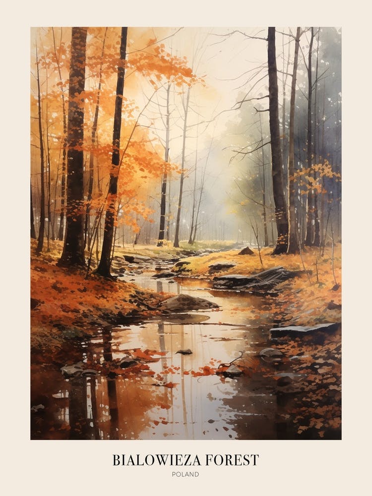 Autumn Forest Landscape Bialowieza Forest Poland 3 Poster